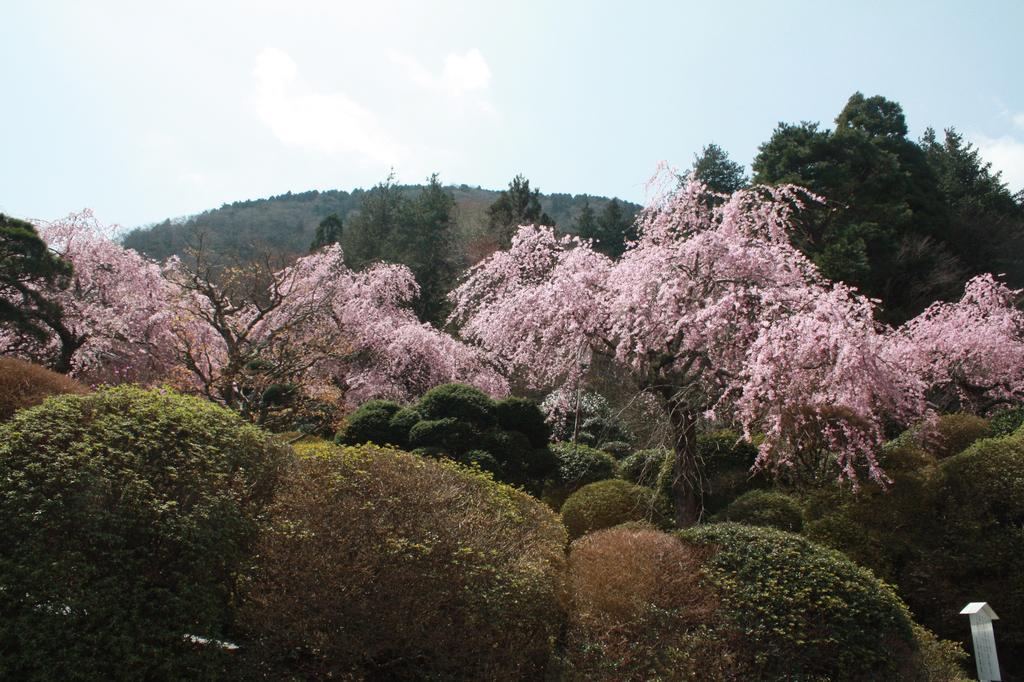 Hakone Kowakien Miyamafurin Hotel Exterior foto
