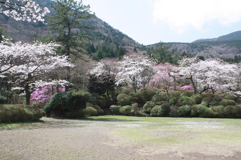 Hakone Kowakien Miyamafurin Hotel Exterior foto